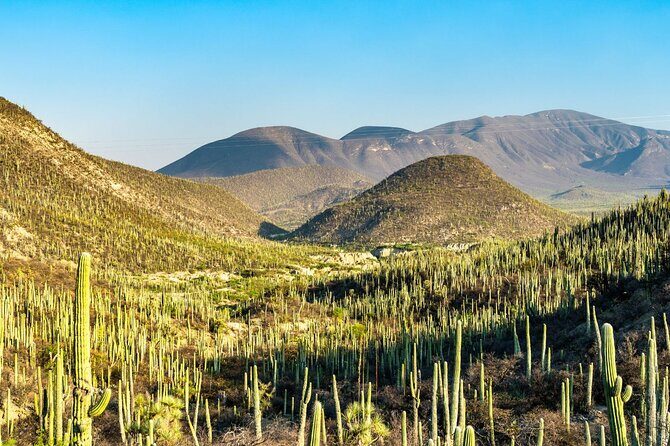 Private Tour to the Tehuacán Biosphere Reserve - Practical Details & What to Expect