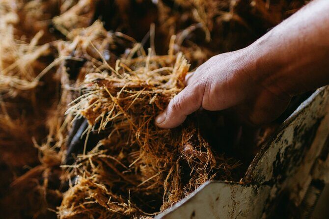 Private Tour to the Tehuacán Biosphere Reserve - FAQs