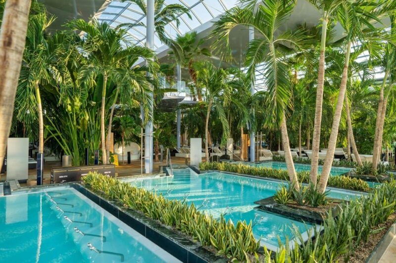 PRIVATE TOUR to Therme Bucuresti  Entrance Ticket included - Good To Know