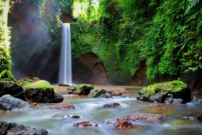 Private Tour to Tibumana Waterfall, Rice Terraces & Jungle Swing - Tour Details