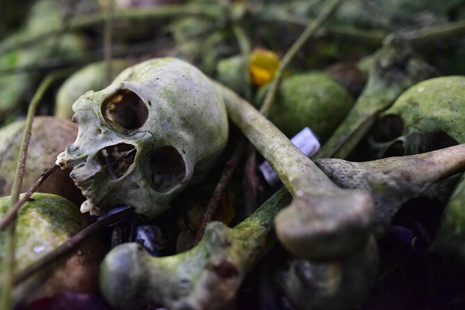 Private Tour to Trunyan Village "Skull Island of Bali" - Pricing and Booking Details