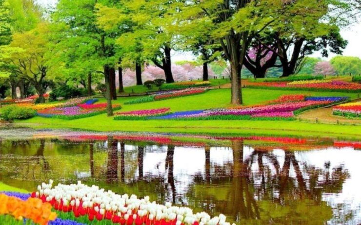 Private Tour to Tulips, Keukenhof, Windmills & Cheese Farm - Keukenhof Flower Park