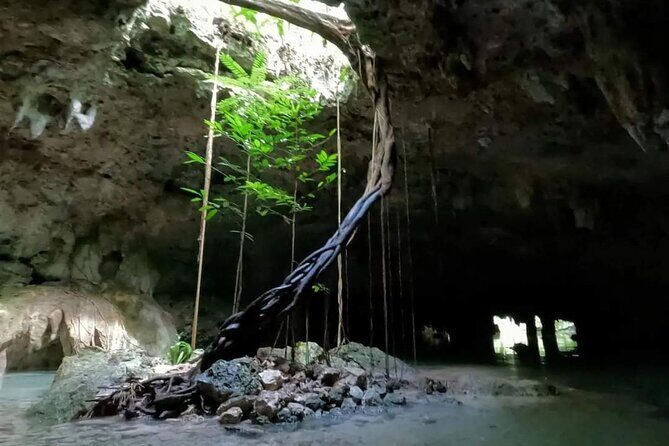 Private Tour to Tulum Cenotes Sac Actun - In-Depth Review of the Tulum Cenotes Sac Actun Private Tour