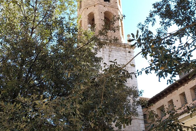 Private Tour to Valladolid From Madrid With Hotel Pick up - Price