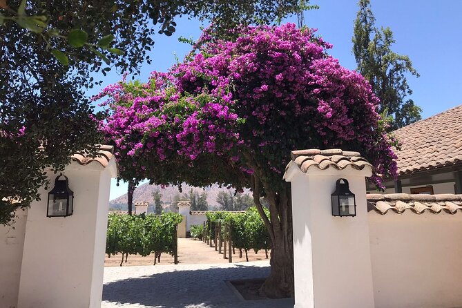 Private Tour to Viña Santa Rita - Inclusions and Experiences