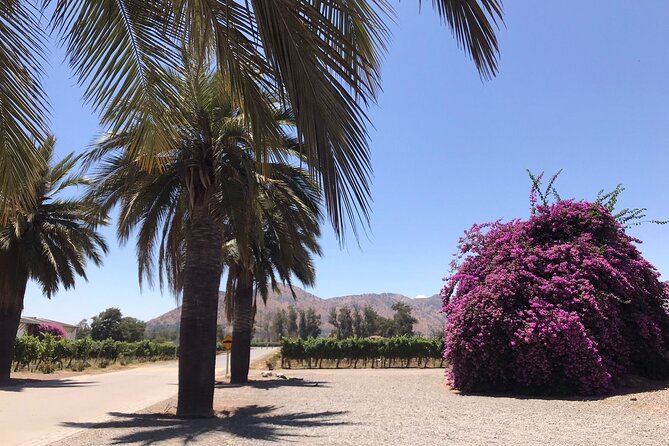 Private Tour to Viña Santa Rita - Frequently Asked Questions
