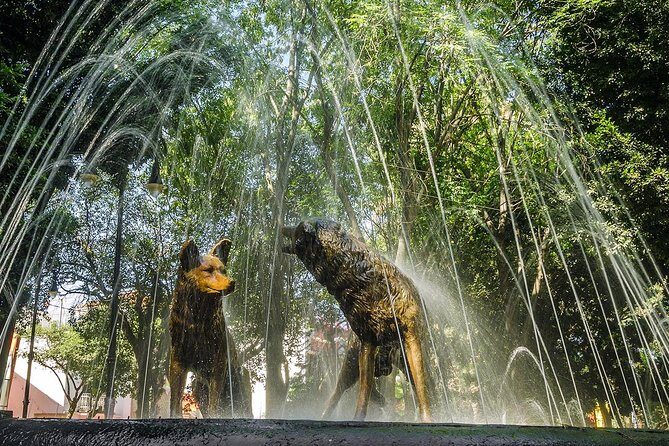 Private Tour to visit Coyoacan and Frida Kahlo Museum - Frequently Asked Questions