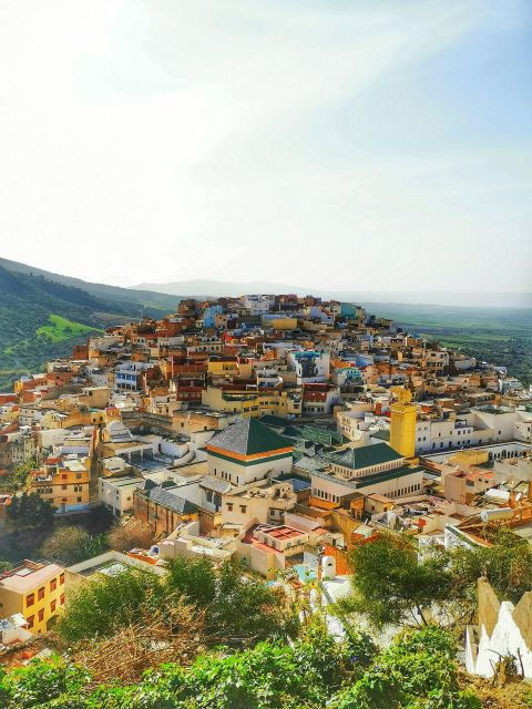 Private Tour: to Volubilis /Moulay Idriss /Meknes From Fes - Tour Highlights