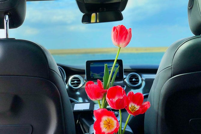 Private Tour to Windmills Zaanse Schans Keukenhof - 7 Hours - Start and Duration