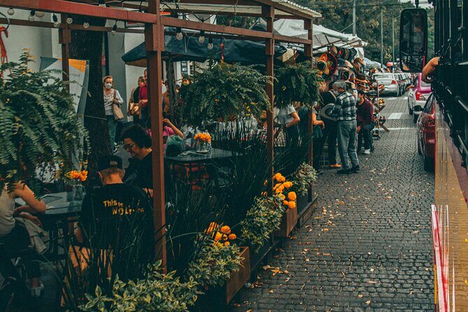 Private Tour to Xochimilco, Coyoacan and Frida Kahlo Museum - Practicalities and Comfort