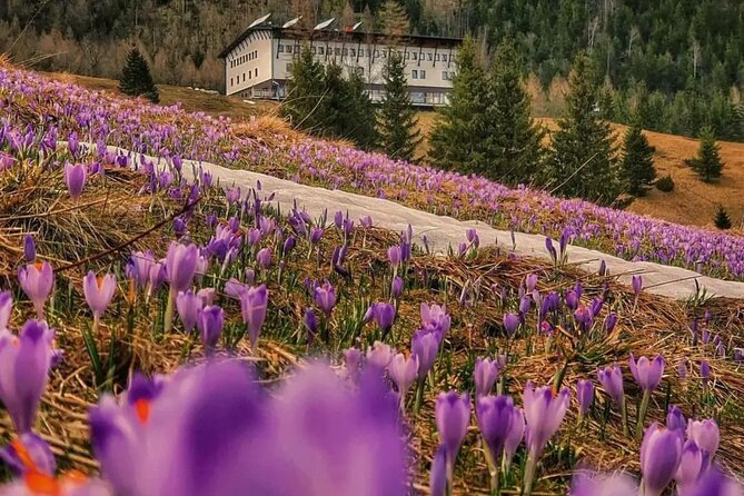 Private Tour to Zakopane and Tatra Mountains From Krakow - Customer Reviews