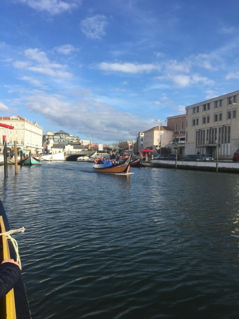 Private Tour/Transfer Lisbon - Porto - Itinerary