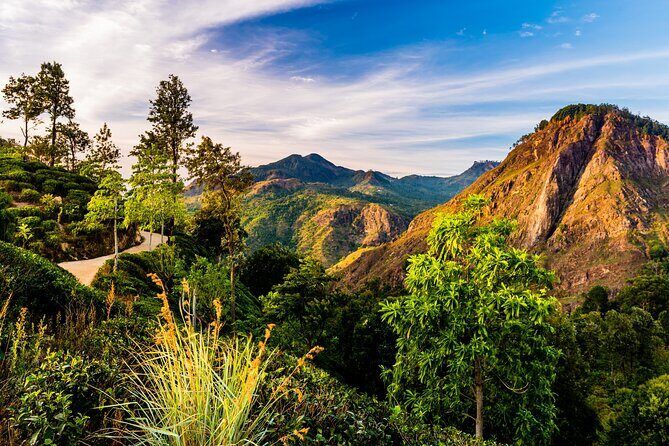 Private Tour Trek to Little Adam's Peak and Nine Arches Bridge - Good To Know