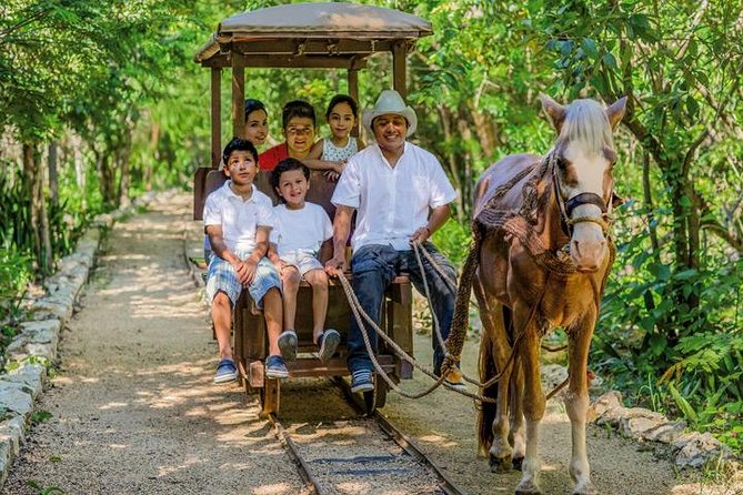 Private Tour: Tulum and Cave Adventure From Cancun - Common Questions