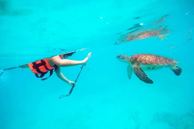 Private Tour Tulum, Reef & Cenote-Cavern From Playa Del Carmen - Inclusions and Meeting/Pickup Details