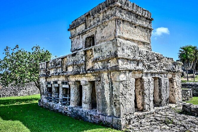 Private Tour Tulum Tortugas Cenote Beach All Inclusive - Transportation and Group Size