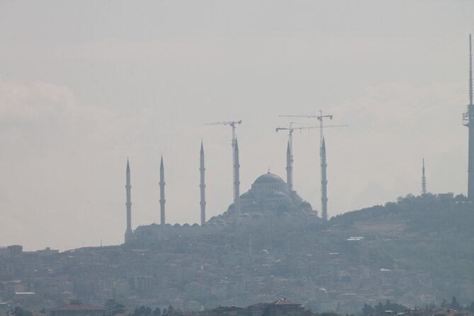 Private Tour Turkish Cuisine Food and Drink in Istanbul - Experiencing Turkish Street Food