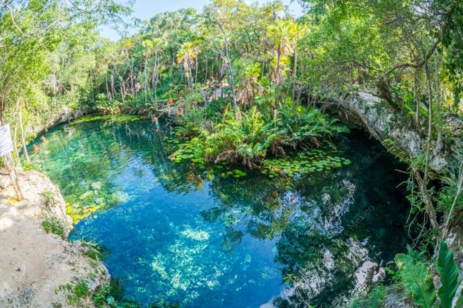 Private Tour Turtle Experience and Cenote Swim - Inclusions