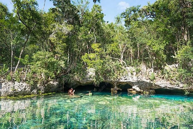 Private Tour Turtle Experience and Cenote Swim - Pricing Details
