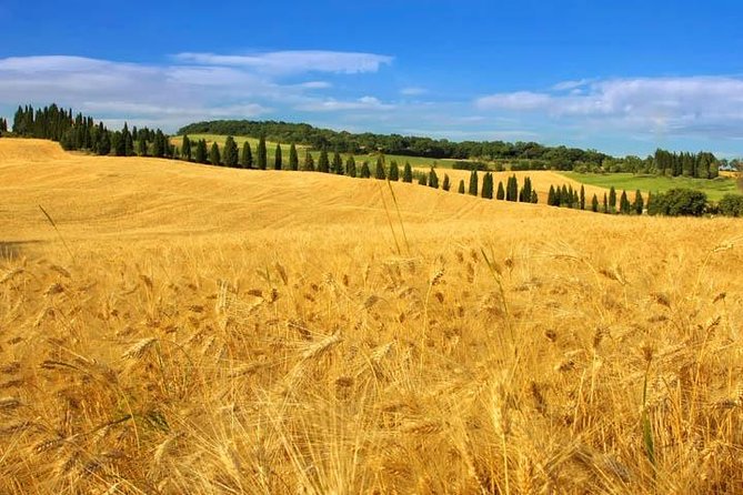 Private Tour: Tuscany Daytrip From Rome - Reviews and Ratings