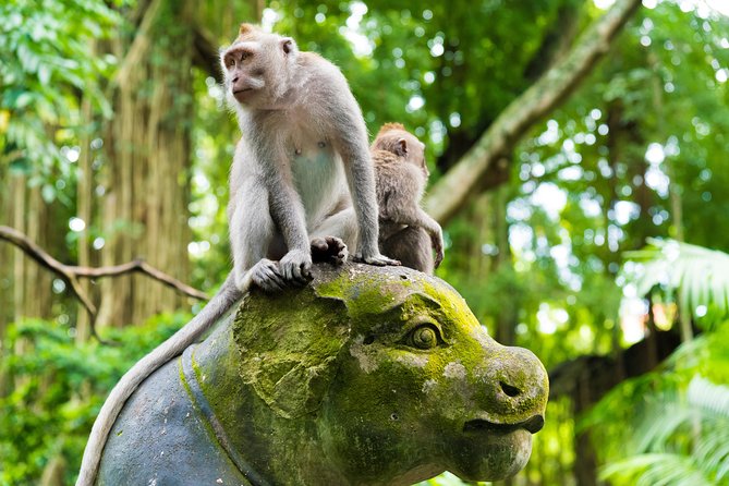 Private Tour: Ubud Highlights - Pricing and Booking Details