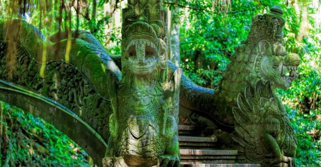 Private Tour, Ubud Monkey Forest Tour - Itinerary