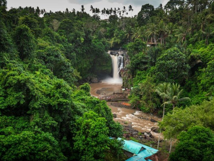 Private Tour, Ubud Secret Journey - Unveiling Tour Highlights