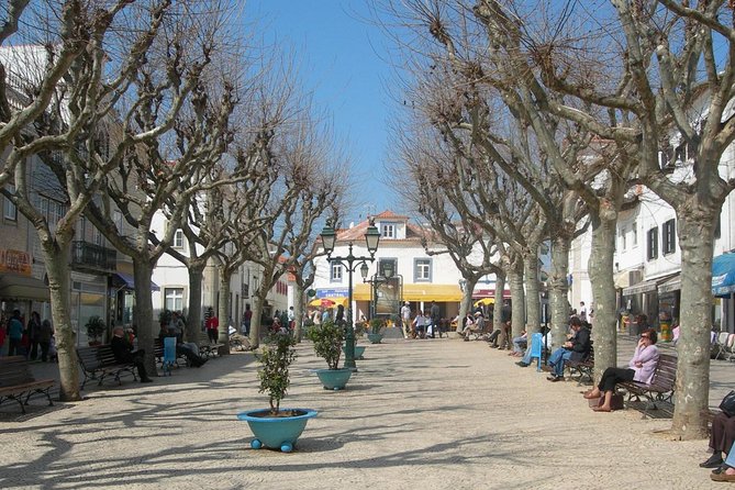 PRIVATE TOUR UNESCO Mafra Palace & Ericeira World Surfing Reserve - The Sum Up