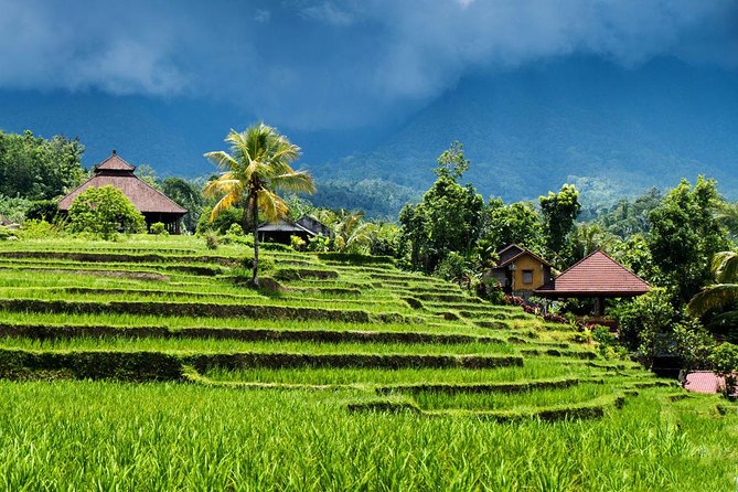 Private Tour- UNESCO Rice Terraces, Ulundanu Beratan, Batukaru, Tanah Lot Temple - Tour Highlights