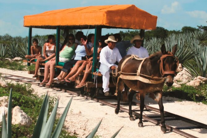 Private Tour: Uxmal & Hacienda Sotuta De Peon by Yucatan Concierge - Private Tour From Merida