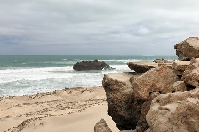 Private Tour Viana Desert, Cabo S. Maria and Sal Rei - Meals Included