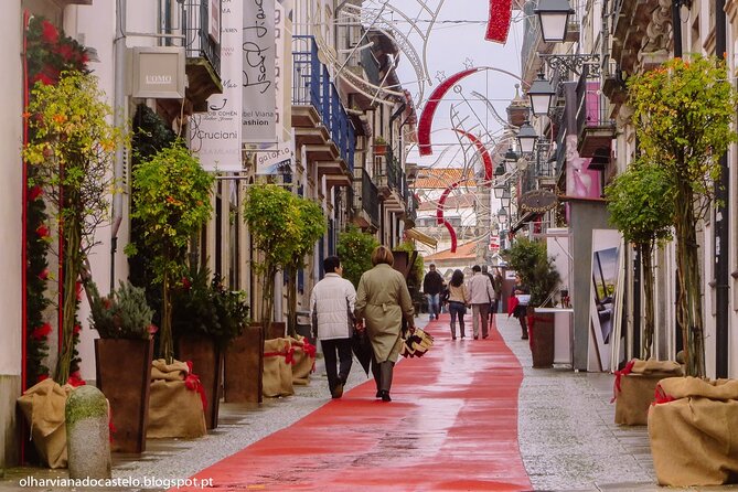 Private Tour: Viana Do Castelo, Ponte De Lima and Braga From Porto - Reviews and Testimonials