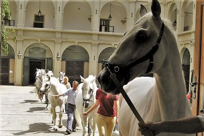 Private Tour: Vienna Inner City Highlights - Belvedere Palace
