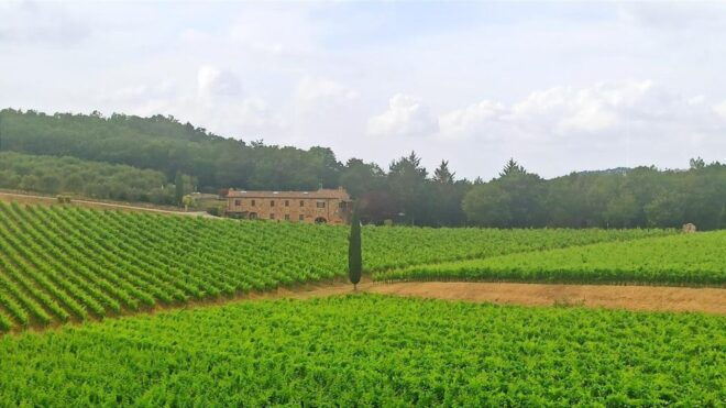 Private Tour: Visit Siena and the Rolling Hills of Chianti. - Booking Information