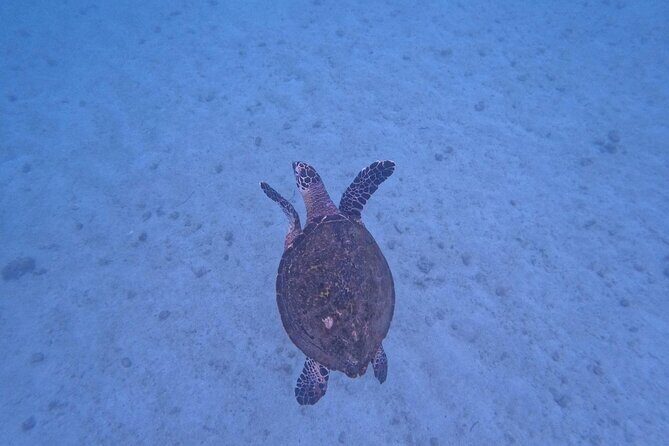 Private Tour Visit the National Park ''The Arches of Mismaloya'' - FAQs