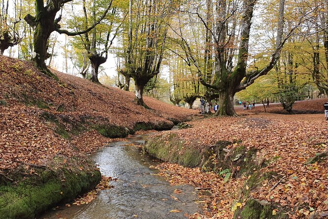 Private Tour Visiting Villages, Forests and Valleys in Biscay - Itinerary Overview