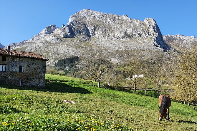 Private Tour Visiting Villages, Forests and Valleys in Biscay - Village Exploration