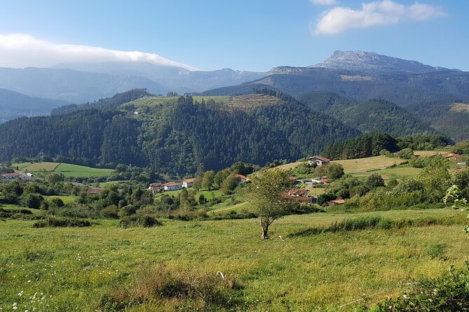 Private Tour Visiting Villages, Forests and Valleys in Biscay - Expert Guide and Driver