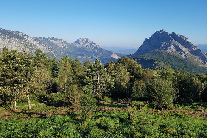 Private Tour Visiting Villages, Forests and Valleys in Biscay - Common Questions