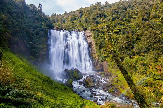Private Tour Waitomo Caves from Auckland - Analyzing Value & Practicality