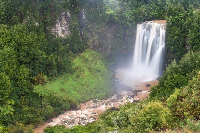 Private Tour Waitomo Caves from Auckland - The Experience Provider: What You Need to Know