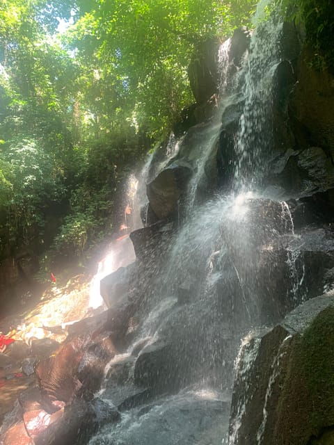 Private Tour Waterfall Temple and Rice Terrace in Ubud - Itinerary Highlights