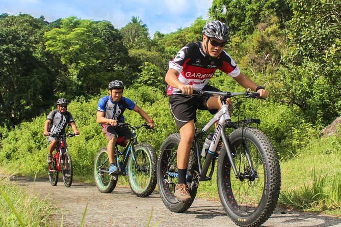 Private Tour : West Coast Nature E-Bike With Wildlife & Darling Brew - Tour Overview