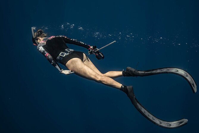 Private Tour Whale Watching Half Day Tour - The Sum Up