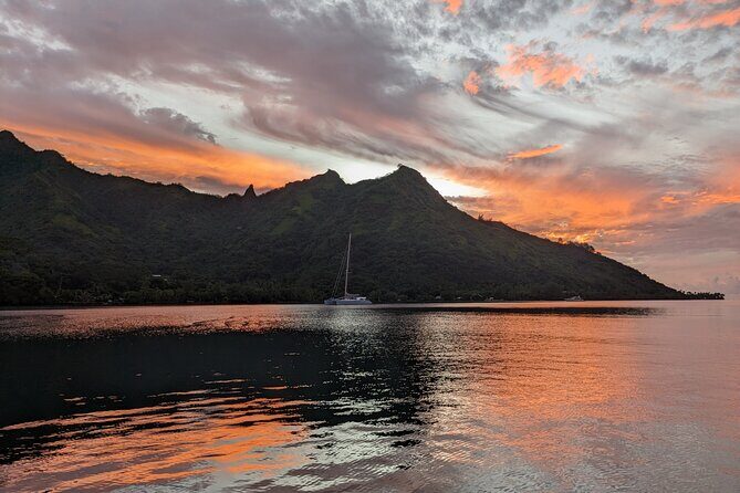 Private Tour Whale Watching Half Day Tour - FAQ