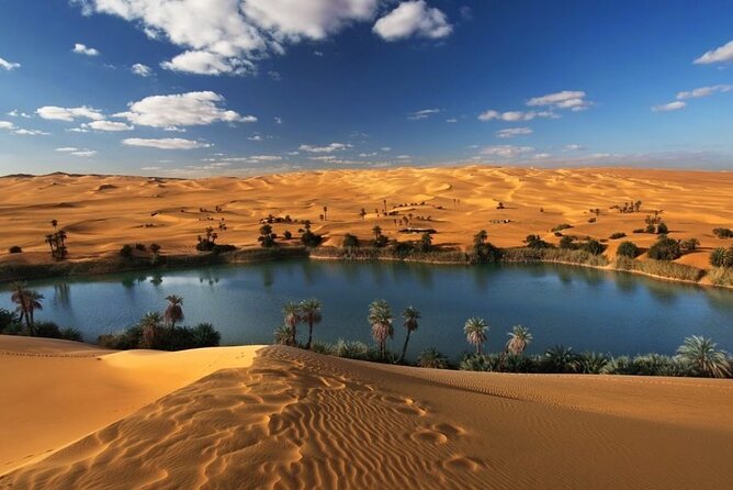 Private Tour Whales Valley And Wadi El Rayan Waterfalls In El Fayoum From Cairo - Tour Highlights