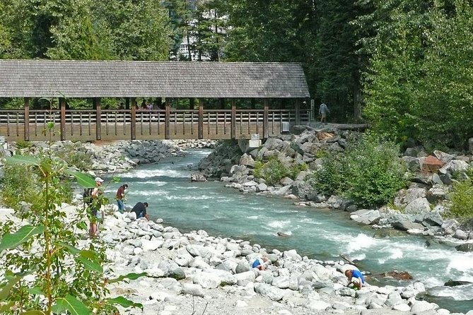 Private Tour: Whistler Day Trip From Vancouver - Reviews and Feedback on Erics Tour