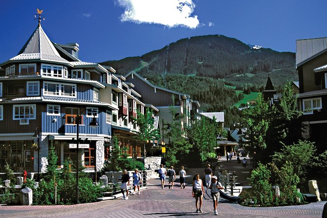 Private Tour: Whistler Day Trip From Vancouver - Overall Feedback and Recommendation