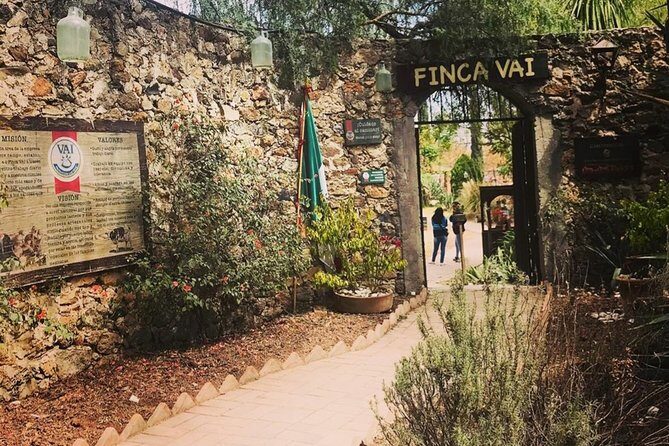 Private Tour: Wine and Cheese Route from CDMX (All included) - Who Will Love This Tour?