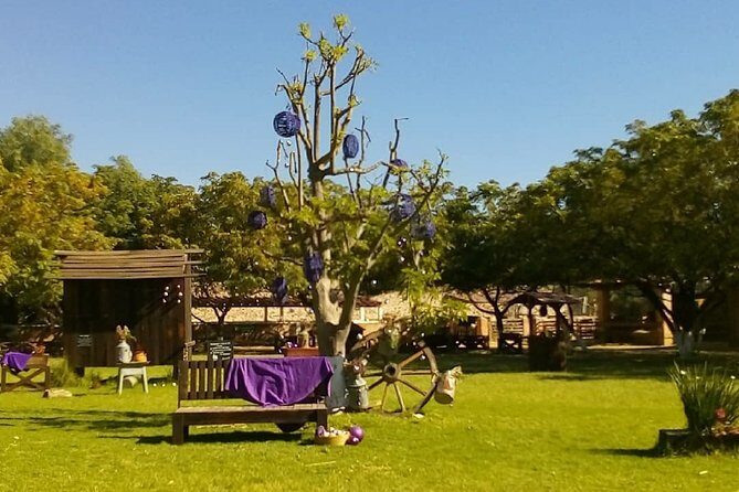 Private Tour: Wine and Cheese Route from CDMX (All included) - Final Thoughts